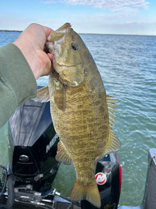 Fishing Bliss: Bass on Lake Erie